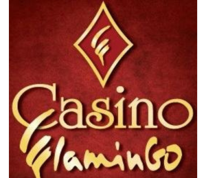 casino flamingo logo